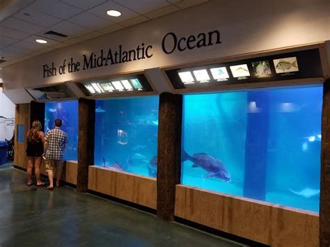Atlantic city aquarium - A favorite of recent aquarium visitors is the Ocean Voyager exhibit with its 100-foot-long underwater walk-through tunnel and more than 50 species. Travelers recommend that you arrive early in the ...